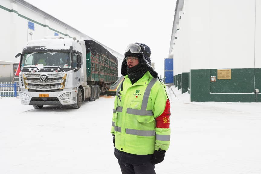 粮安天下 储稳民心——中储粮推进粮食收购高质量发展的实践密码